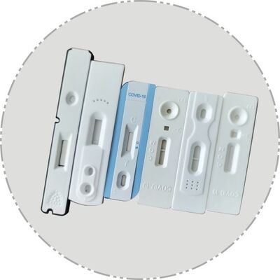 Single Strip Automatic Assembly Packaging Equipment for Lateral Flow Cassette